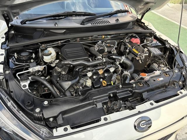 27046841_carP_l_18.jpg