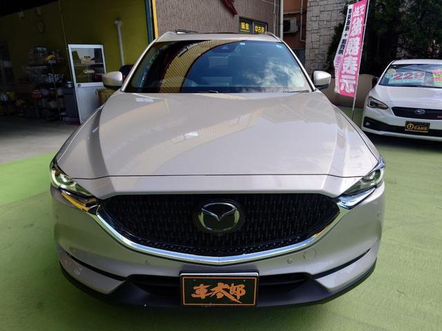 0502271A30260310W00115.jpg