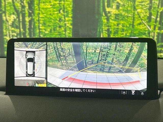 3e6af145dcdd8c855e28bc2019c6382e.jpg