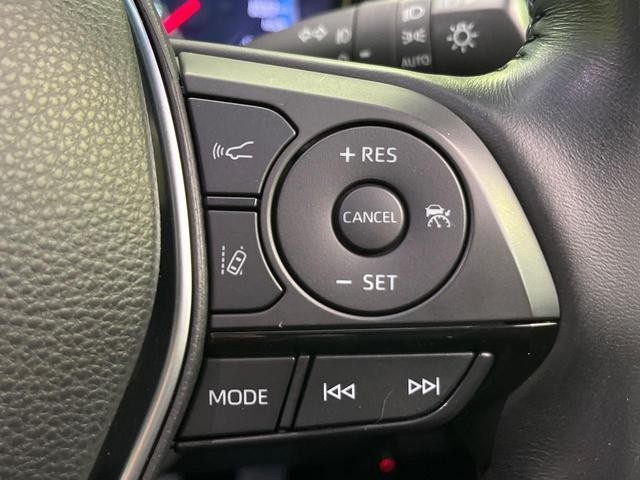 26468525_carP_l_13.jpg