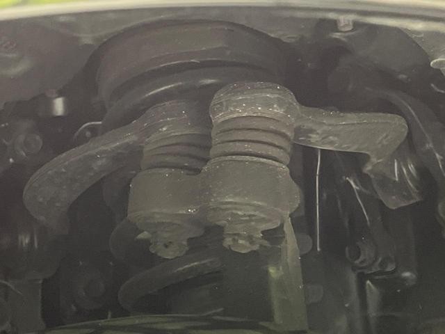 26468525_carP_l_20.jpg