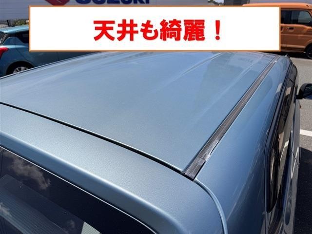 25658550_carP_l_19.jpg