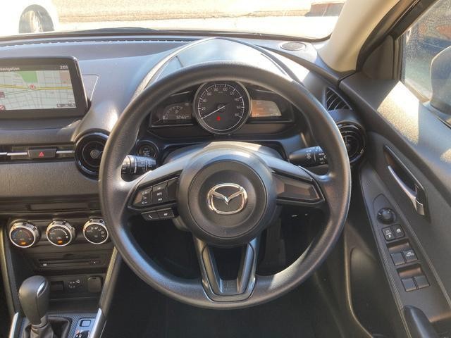 27133128_carP_l_6.jpg