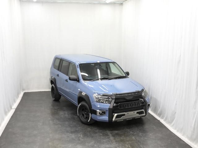 0730157A30260710W00117.jpg