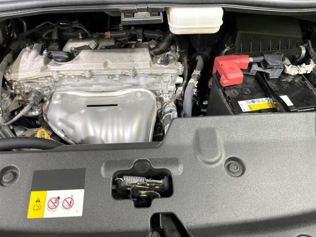 26189344_carP_l_20.jpg