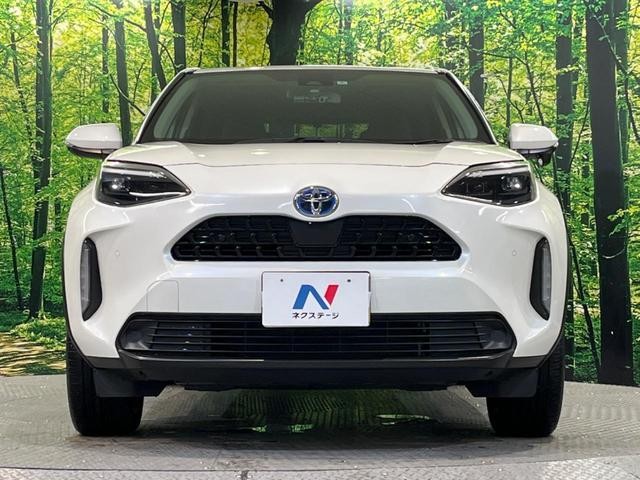 26468770_carP_l_8.jpg
