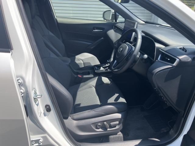 26003215_carP_l_4.jpg