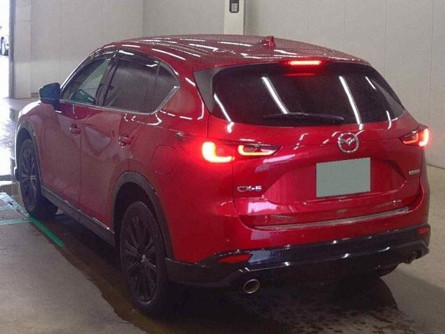 26650241_carP_l_3.jpg