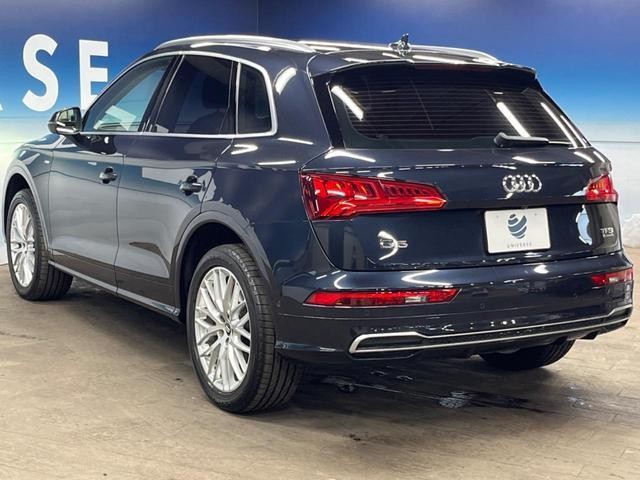25865863_carP_l_16.jpg