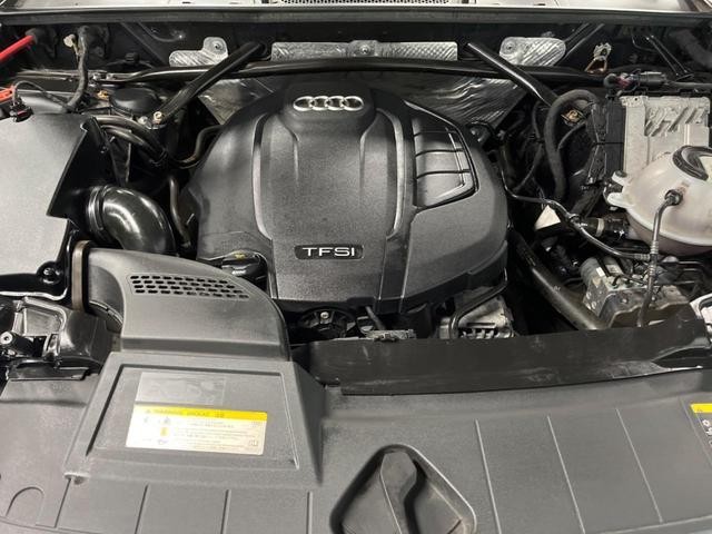 25865863_carP_l_18.jpg