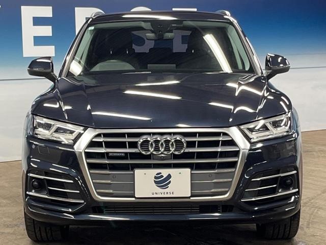 25865863_carP_l_9.jpg