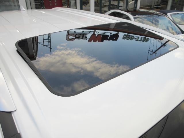 27052767_carP_l_13.jpg