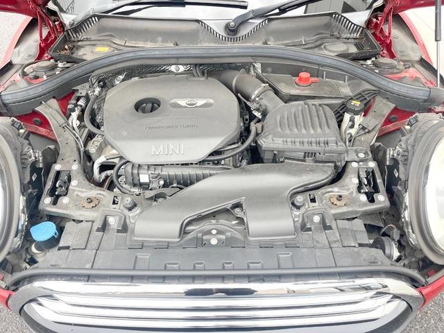 25865871_carP_l_20.jpg