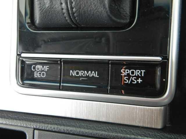26488965_carP_l_5.jpg