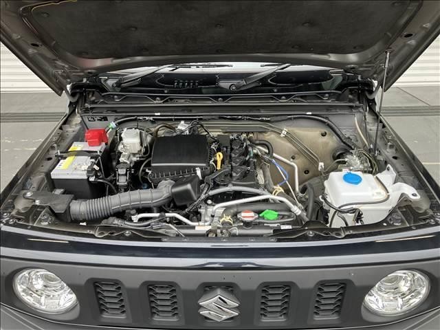 24863759_carP_l_20.jpg