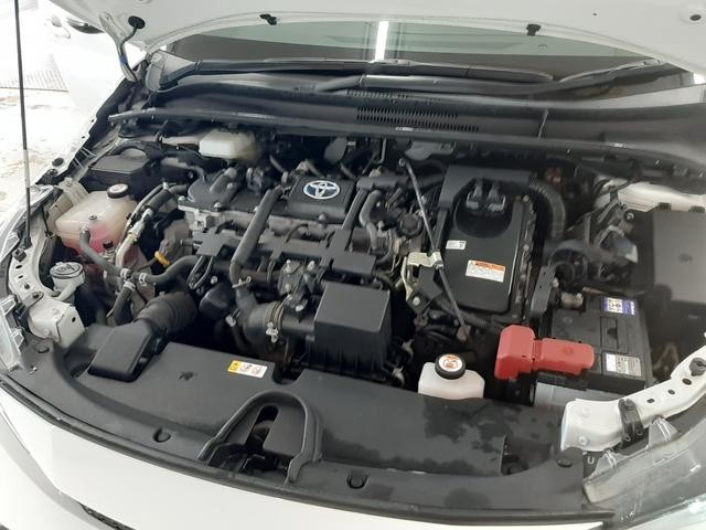 0900727A30260127W00119.jpg
