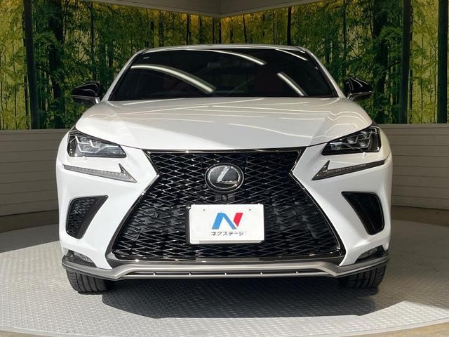 25865930_carP_l_8.jpg