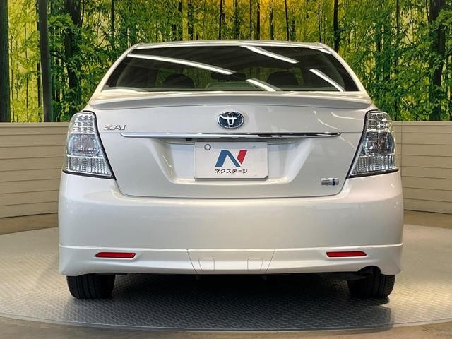 26491329_carP_l_9.jpg