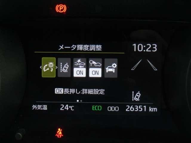 26142257_carP_l_19.jpg