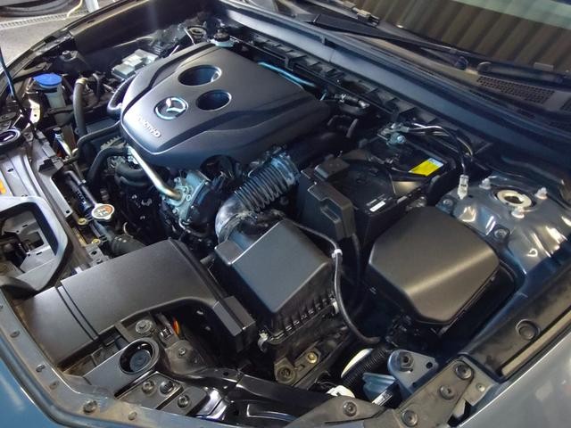 0508207A30261025W00719.jpg