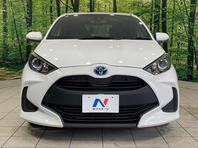 26731991_carP_l_8.jpg