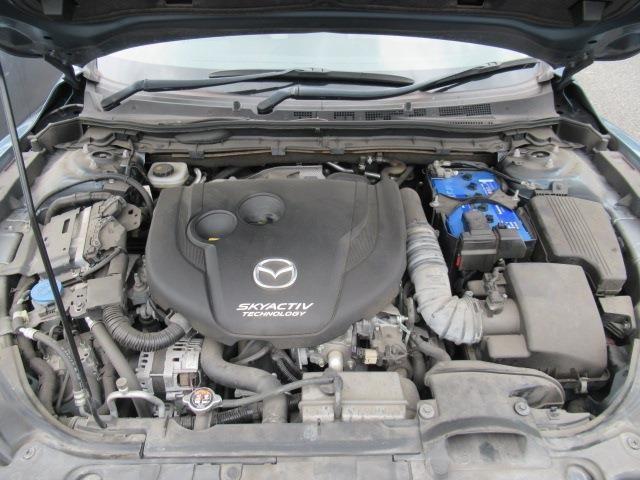 26725430_carP_l_20.jpg
