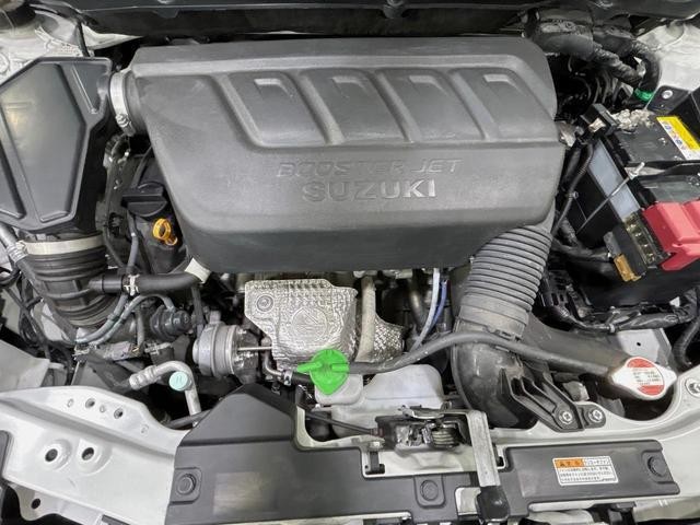 25866086_carP_l_16.jpg