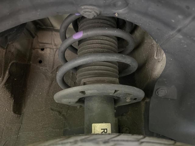 25866086_carP_l_20.jpg