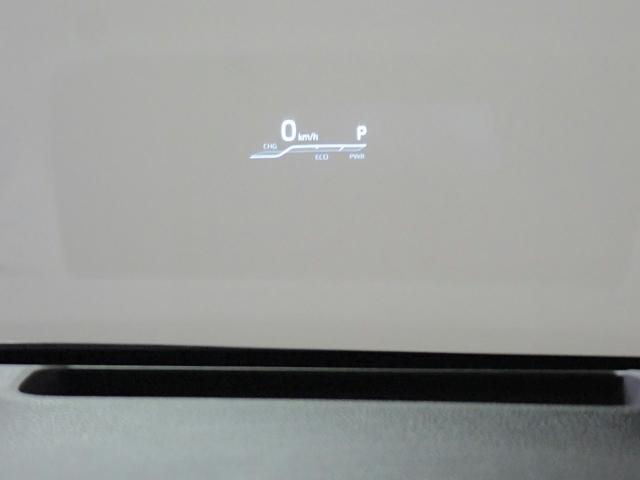 0204644A30260630W00105.jpg