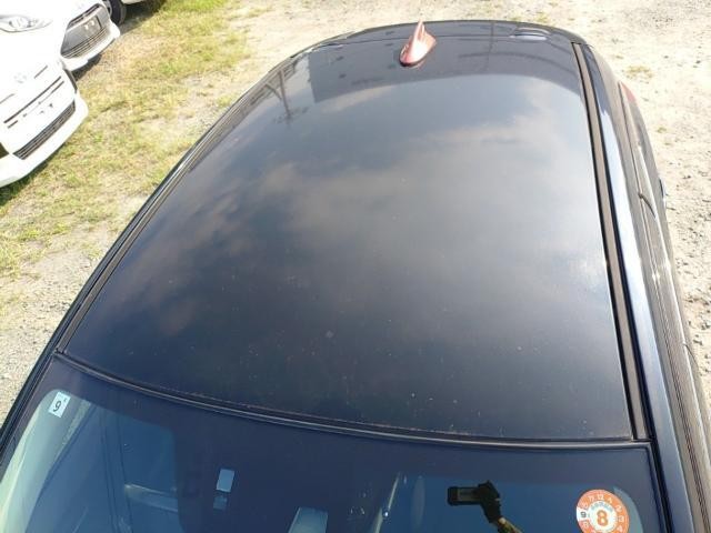 27154059_carP_l_14.jpg