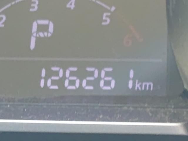 27154059_carP_l_2.jpg