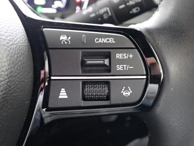0509002A30260828W00511.jpg