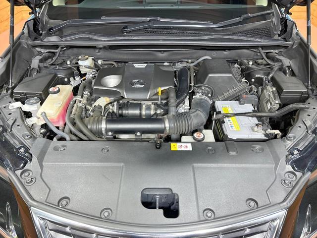 24219490_carP_l_16.jpg