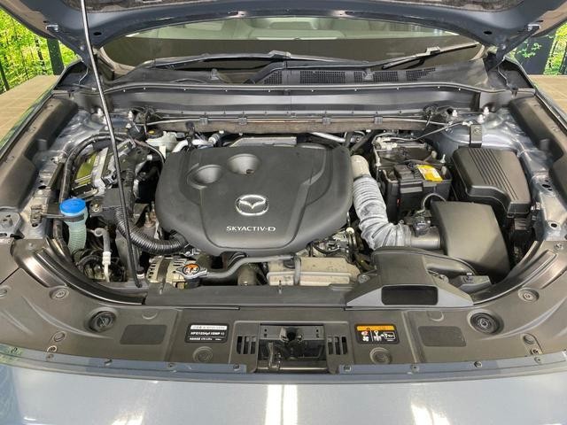 26557784_carP_l_16.jpg