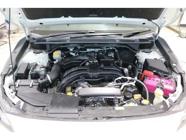 26007759_carP_l_17.jpg
