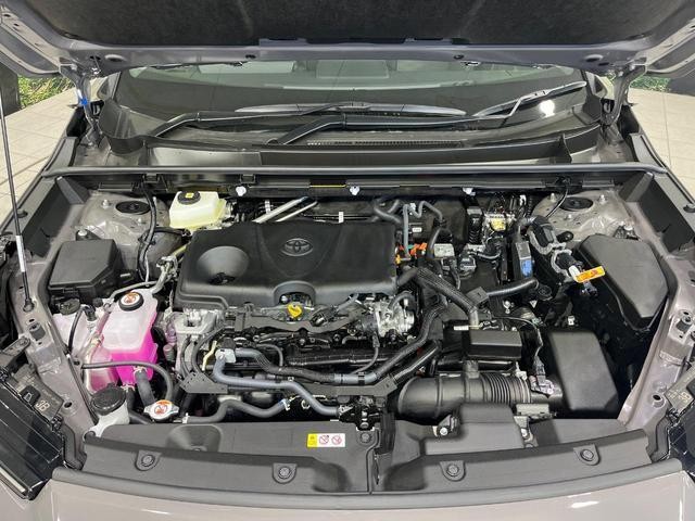 27094637_carP_l_18.jpg
