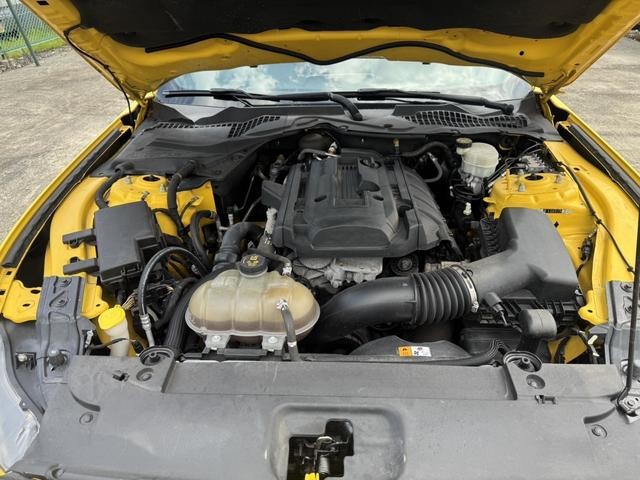 0520456A30260719W00104.jpg