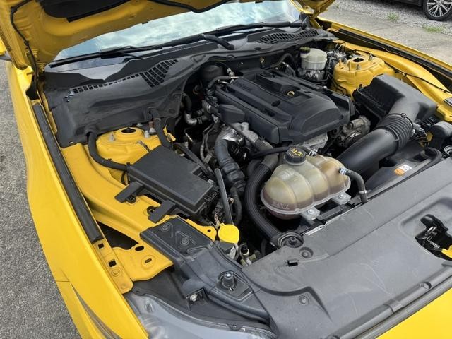 0520456A30260719W00117.jpg