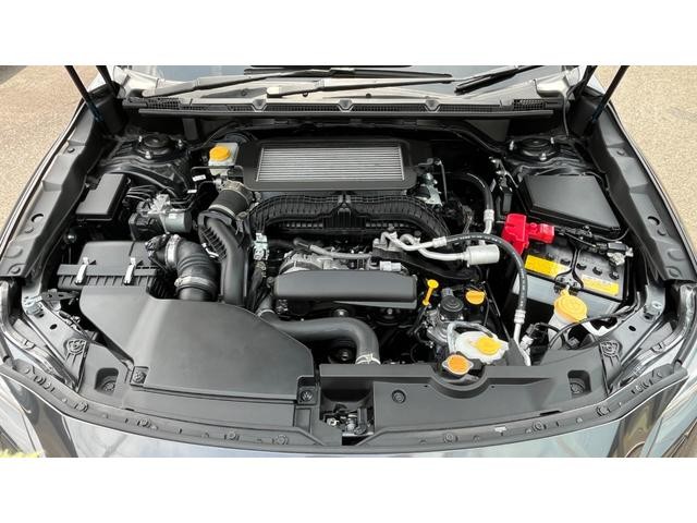 0204310A20260724W00209.jpg