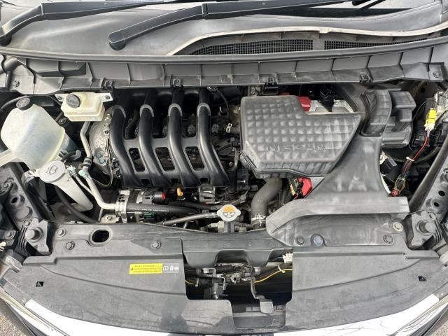 25153511_carP_l_17.jpg