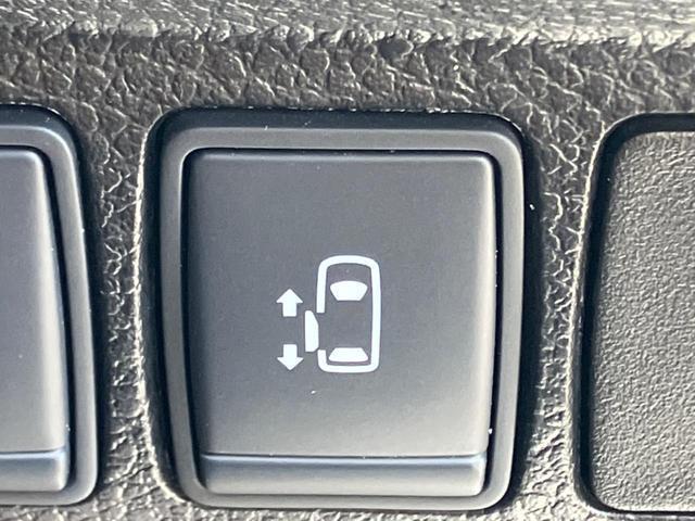24260152_carP_l_4.jpg