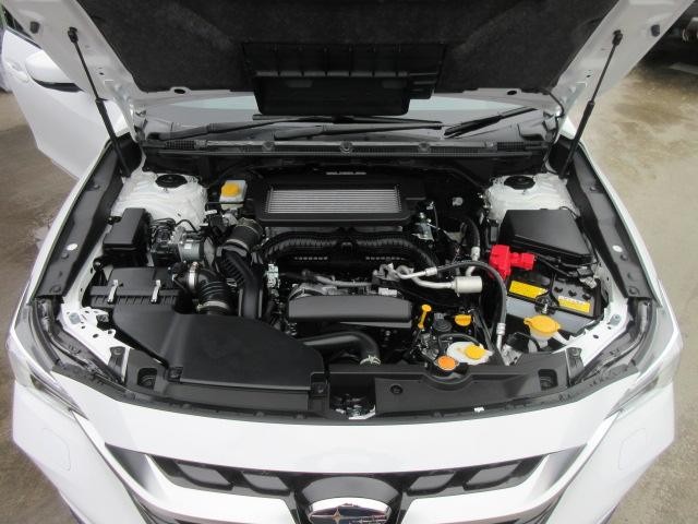 0561088A30260918W00115.jpg