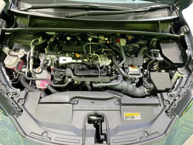 24260353_carP_l_18.jpg