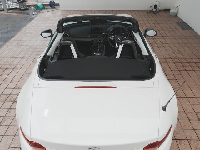 bcef59b43f8a0a14e39061bad12a726b.jpg