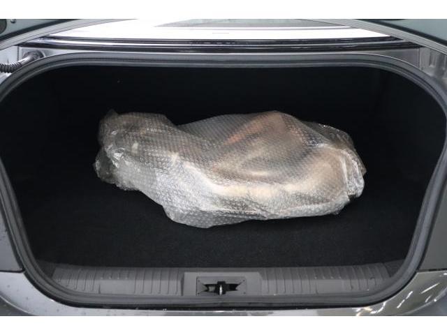 24752866_carP_l_11.jpg
