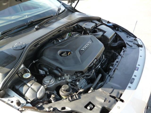 3166501_carP_l_17.jpg
