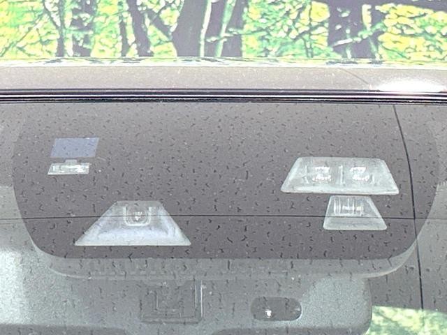26902200_carP_l_4.jpg