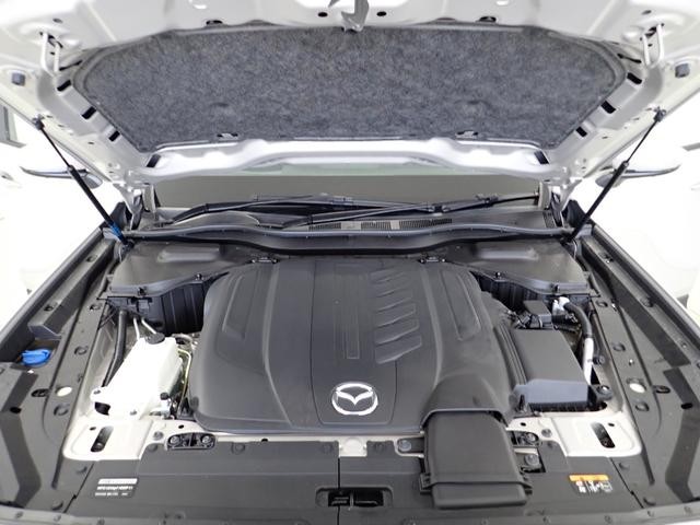 0509002A30260911W00214.jpg