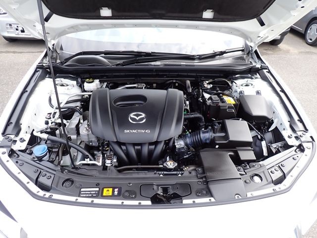 0ba927d90fc4406aa668aae320a202d3.jpg