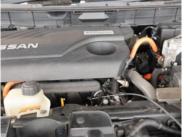 26725447_carP_l_18.jpg